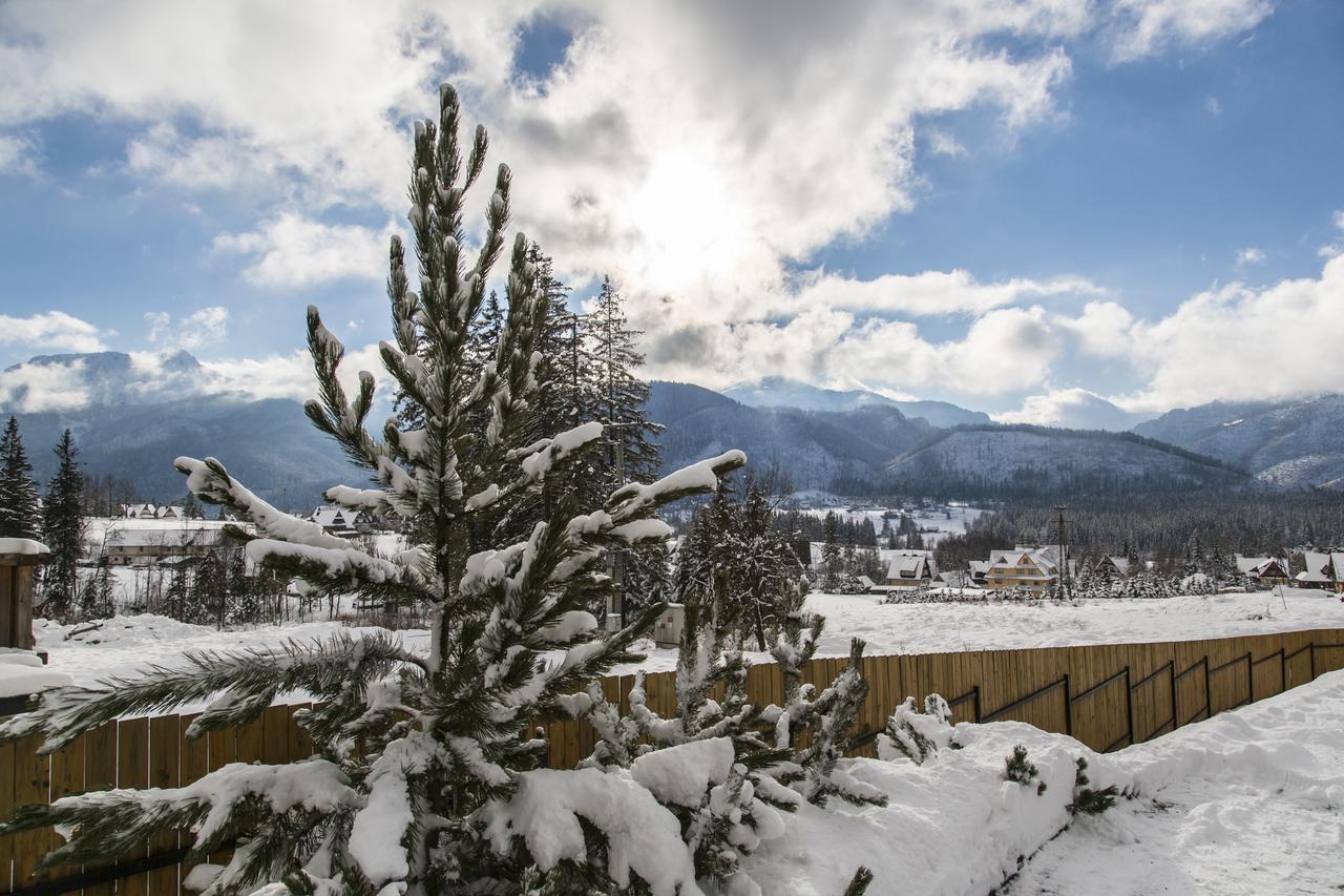 udanypobyt Apartamenty Snowbird Koscielisko Bagian luar foto